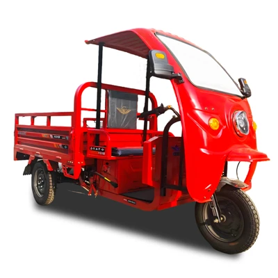 Motociclo elettrico a 3 ruote per impieghi gravosi da 1800 W