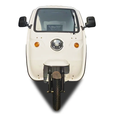 Triciclo elettrico per trasporto pesante